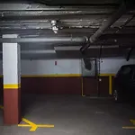 Lirio Donkey Parking