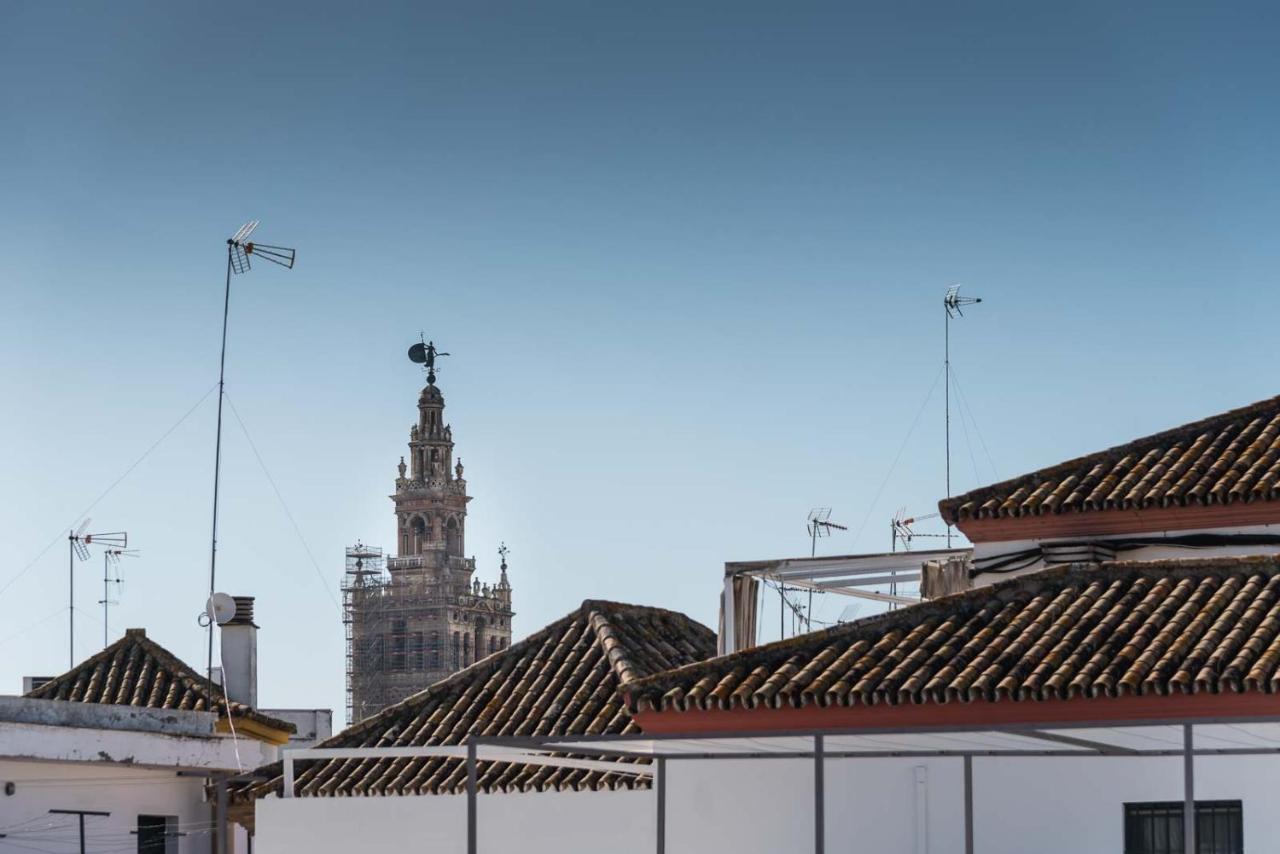 Lirio Donkey Parking * Sevilla